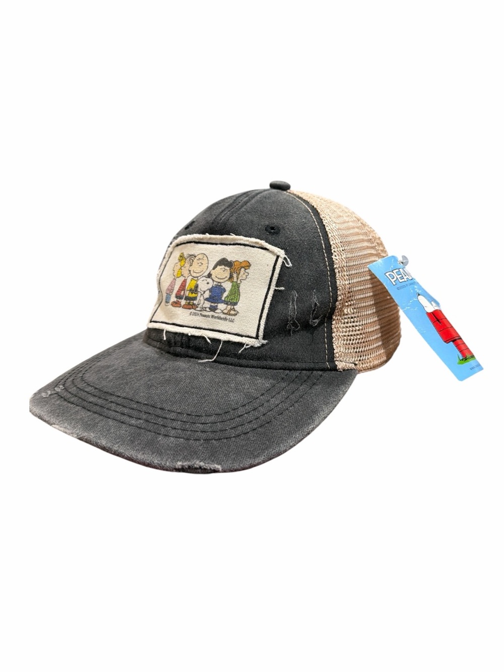 Brief Insanity Peanuts Gang Distressed‎ Trucker Hat